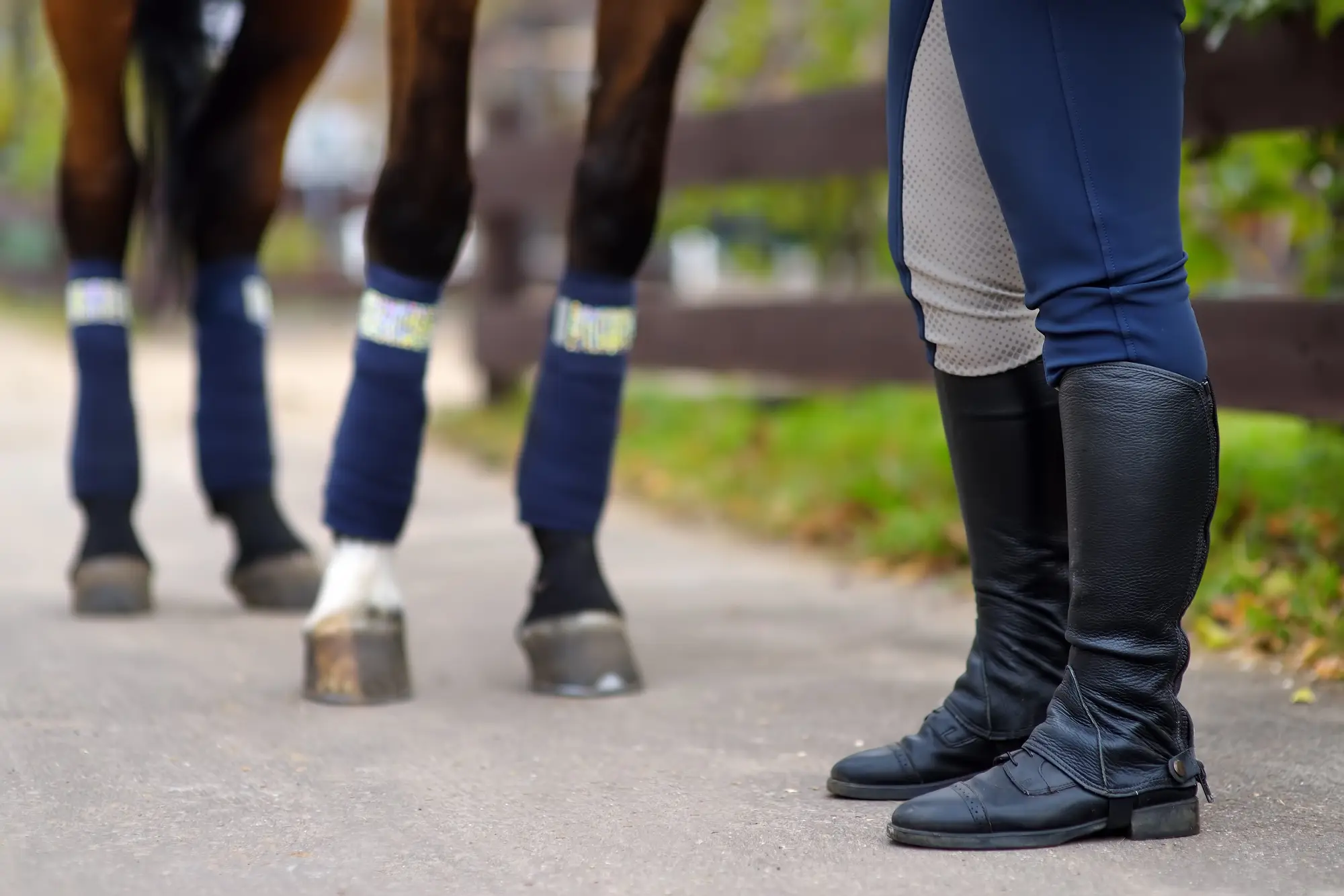 Jodhpurs