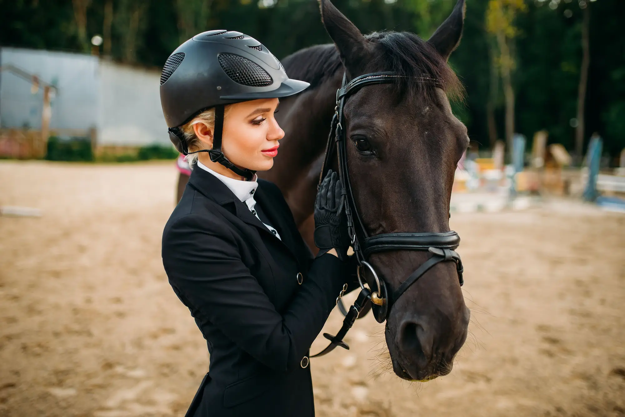 Bridles