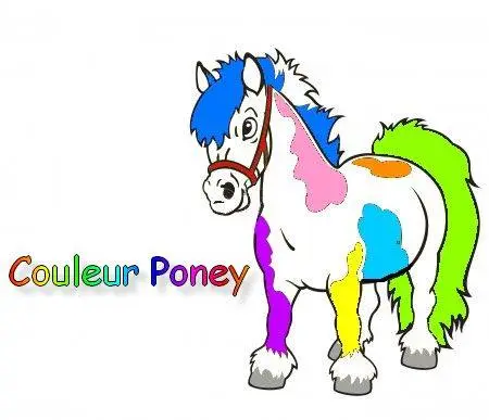 Couleur Poney
