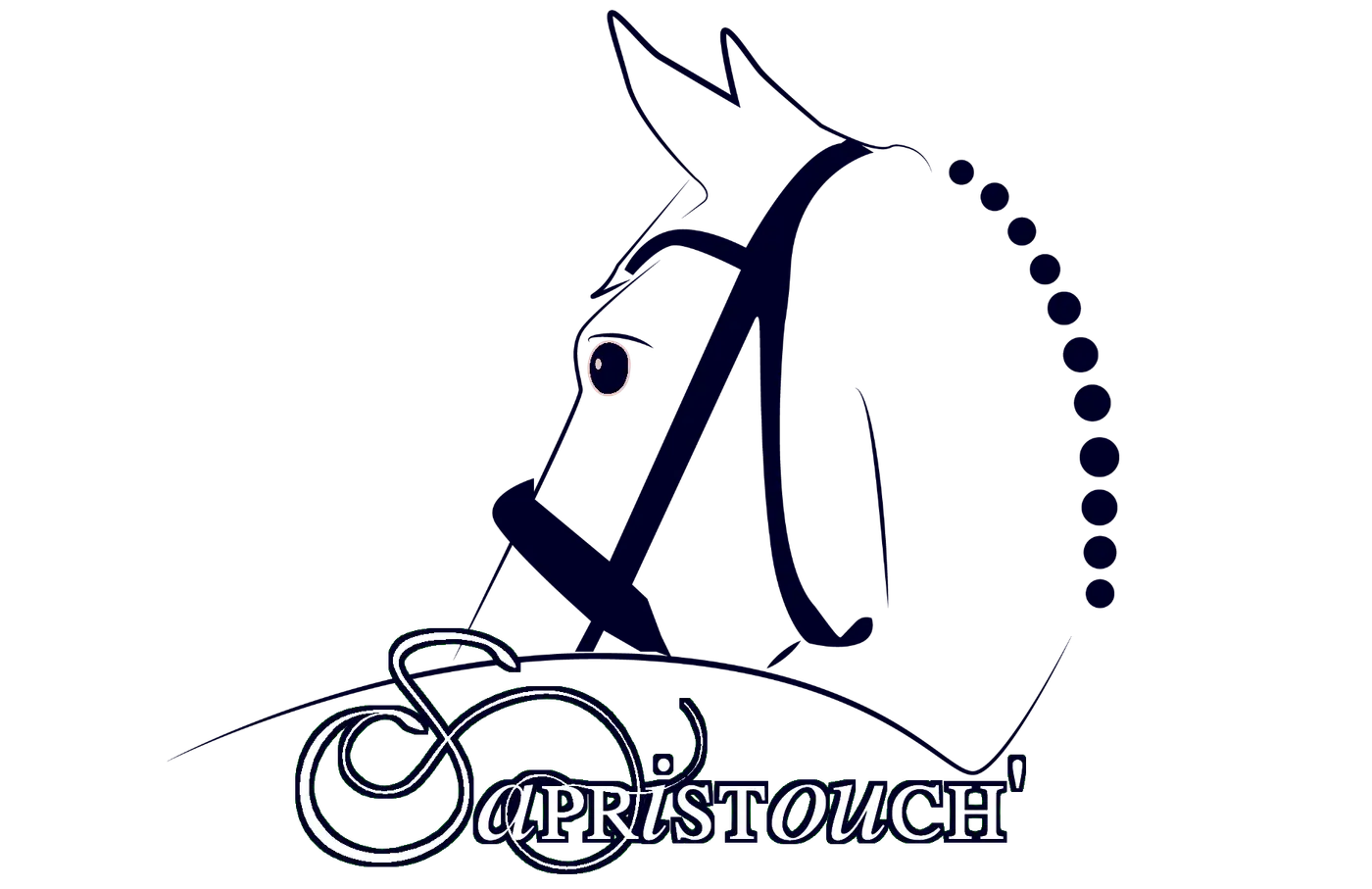 Sapristouch