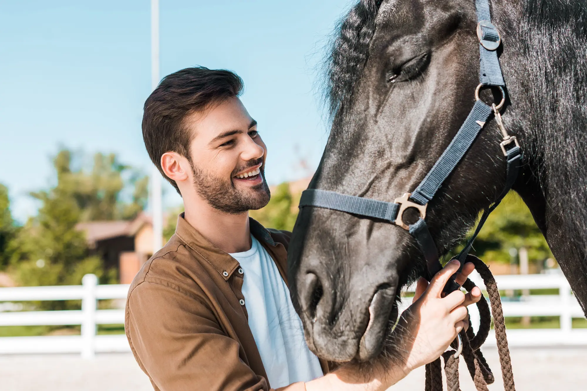 Halters and leads