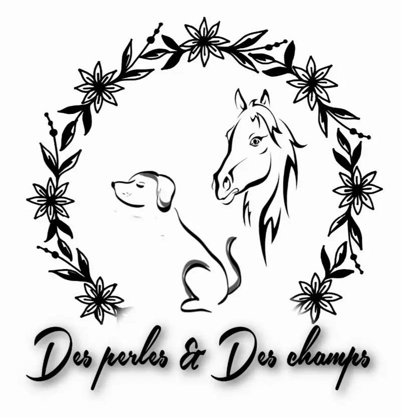 Briderie des perles et des champs