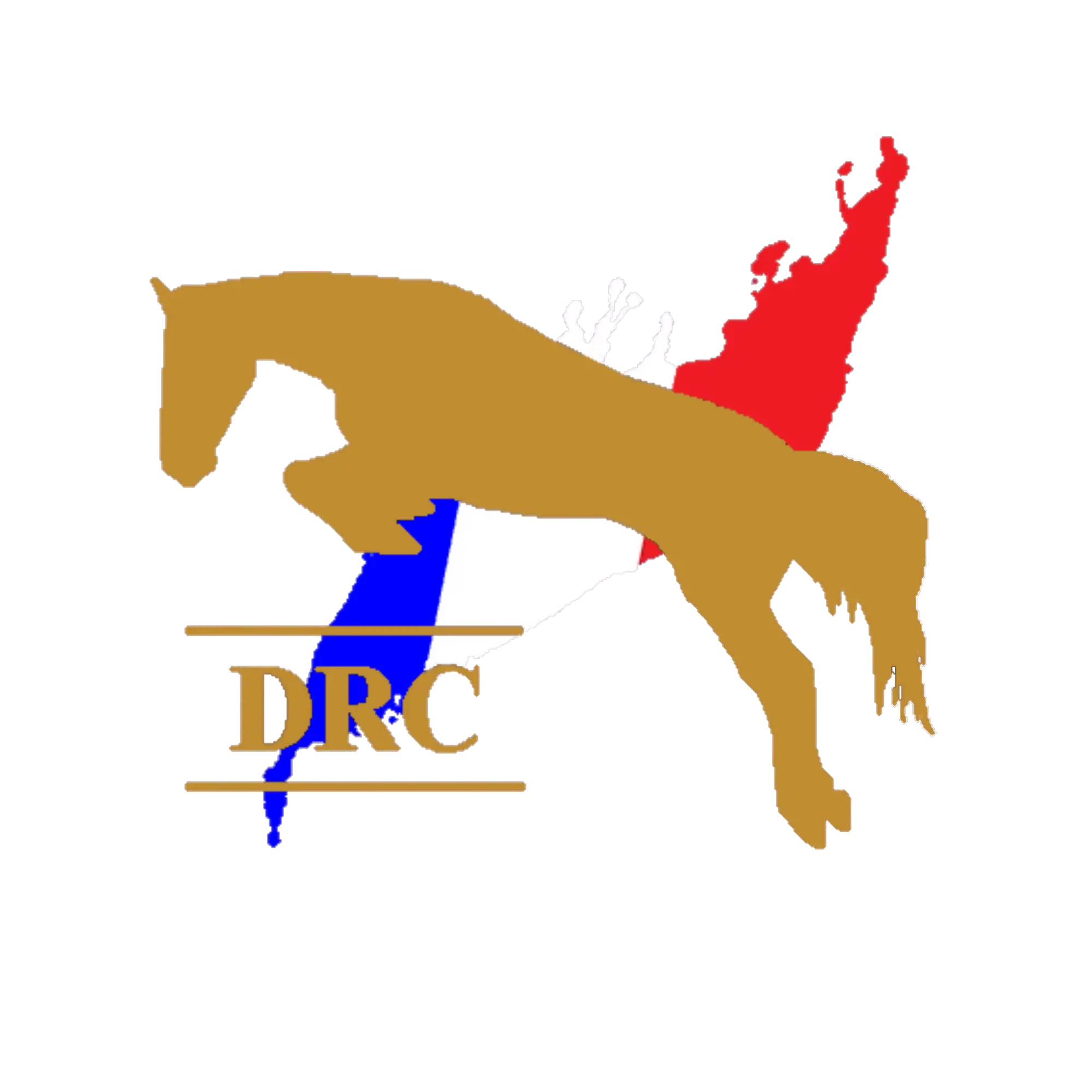 Sellerie DRC