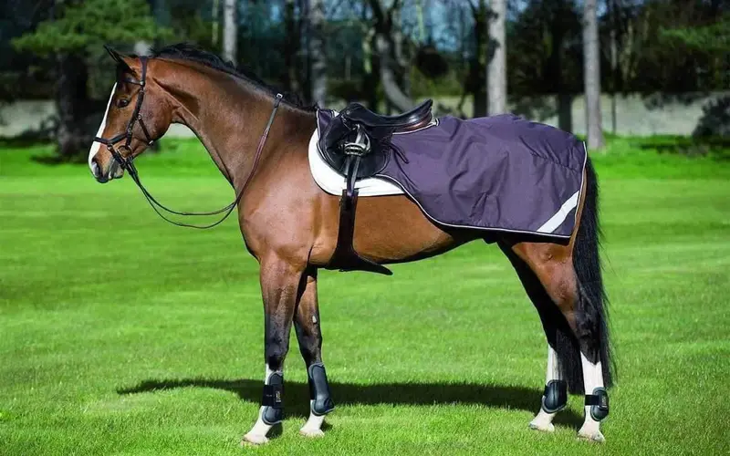 Exercise rugs