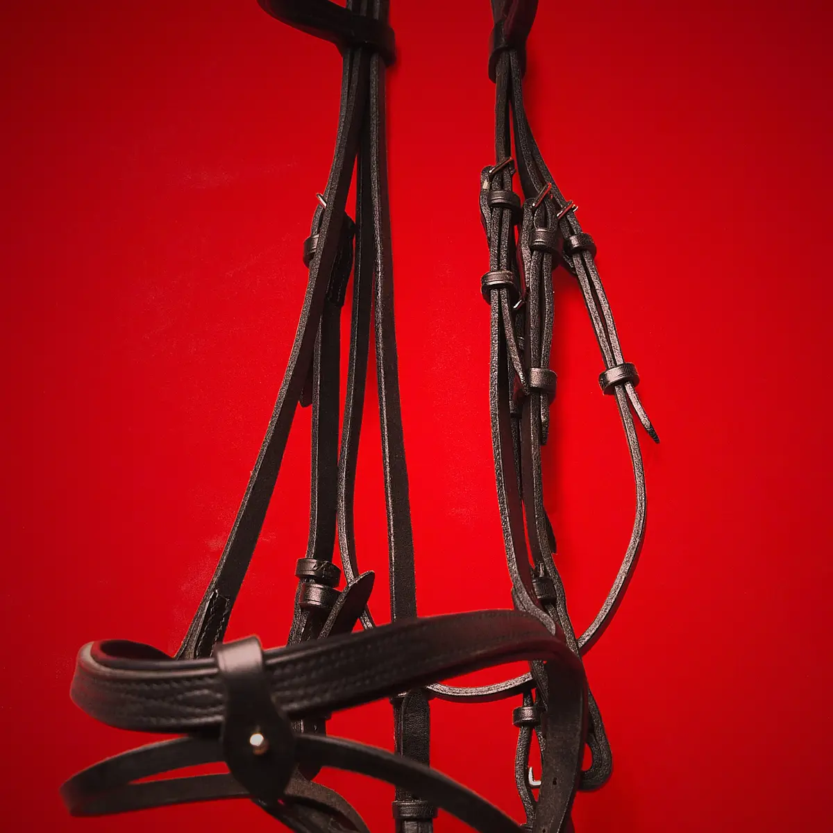 Dressage bridle