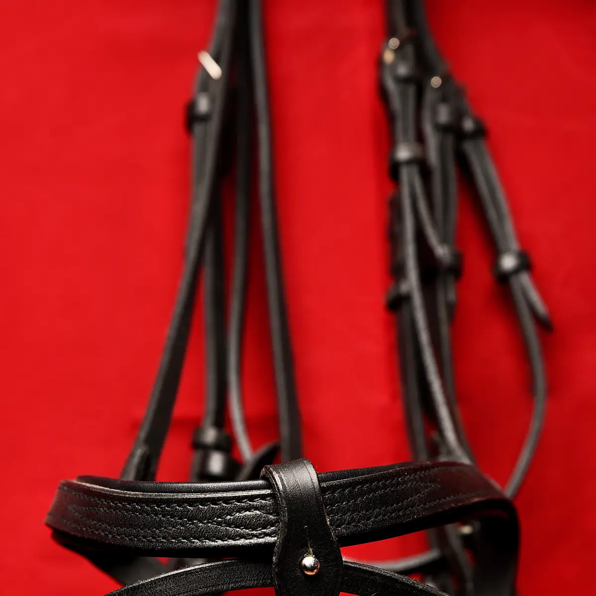Dressage bridle 2