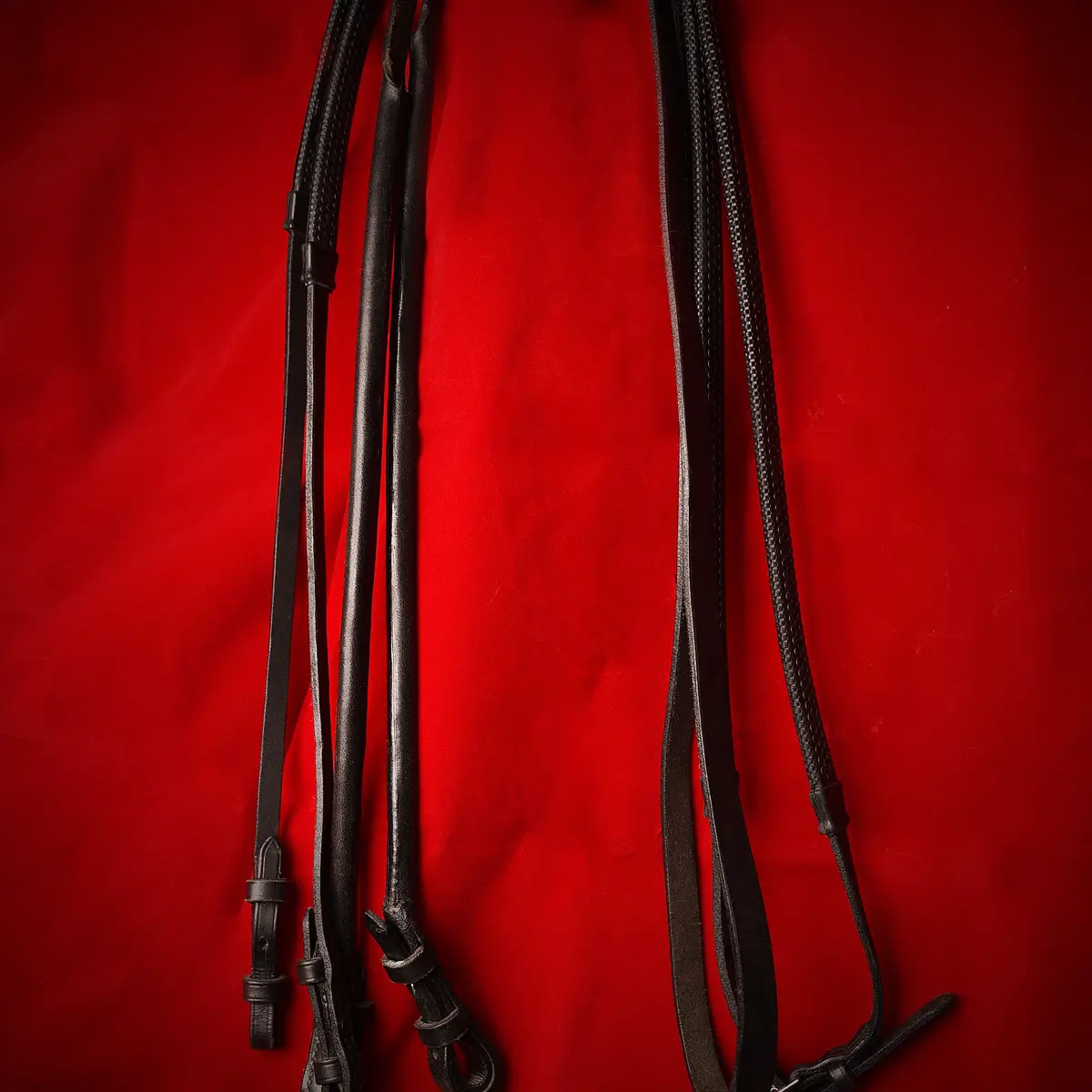 Dressage bridle 3