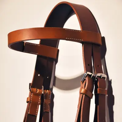 Halter Bridle 2
