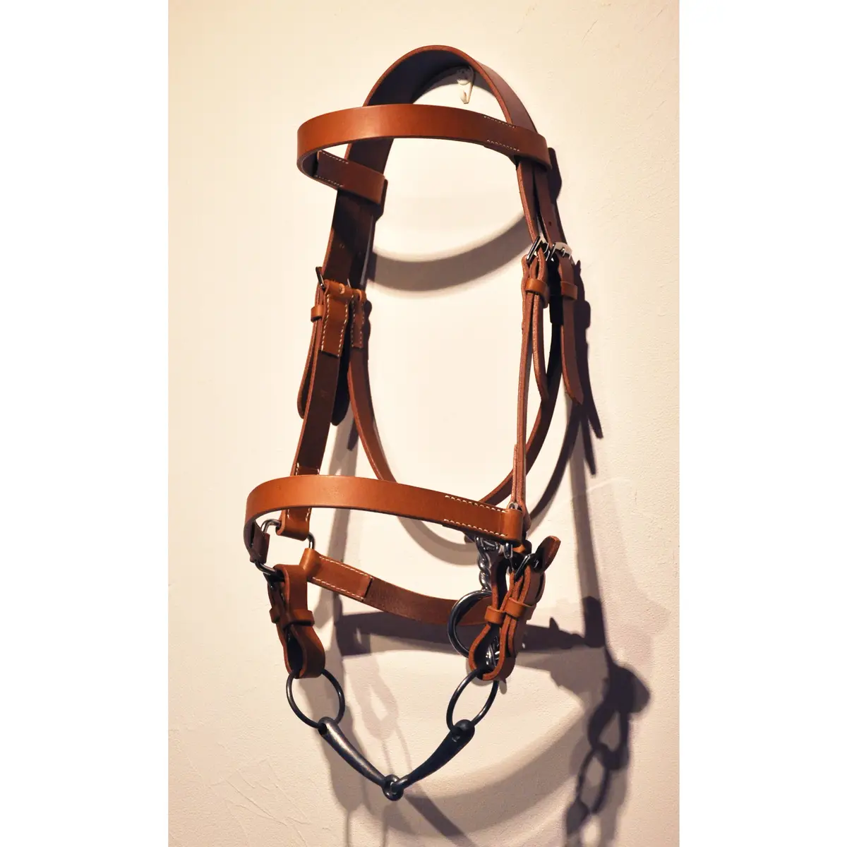 Halter Bridle