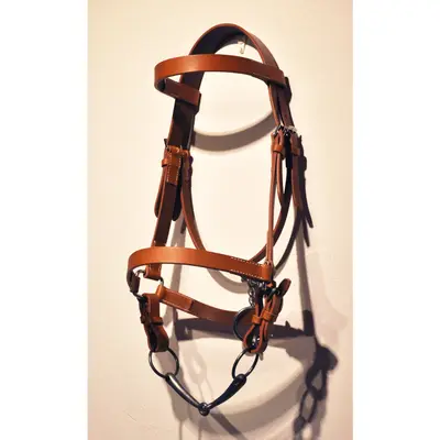 Halter Bridle 1