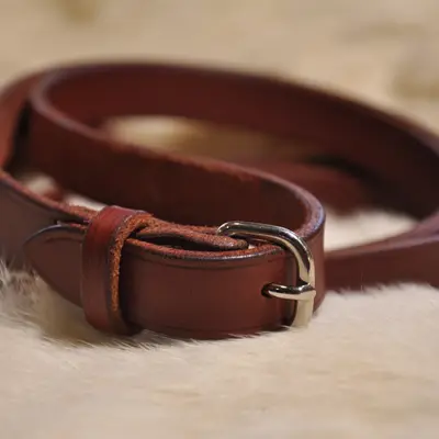 Smooth reins 1