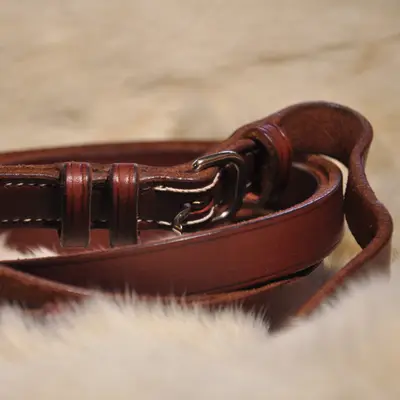 Smooth reins 2