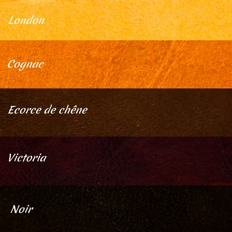 Reins 2