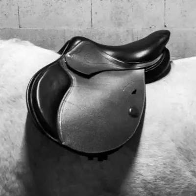 Made-to-measure English saddle for all disciplines 2