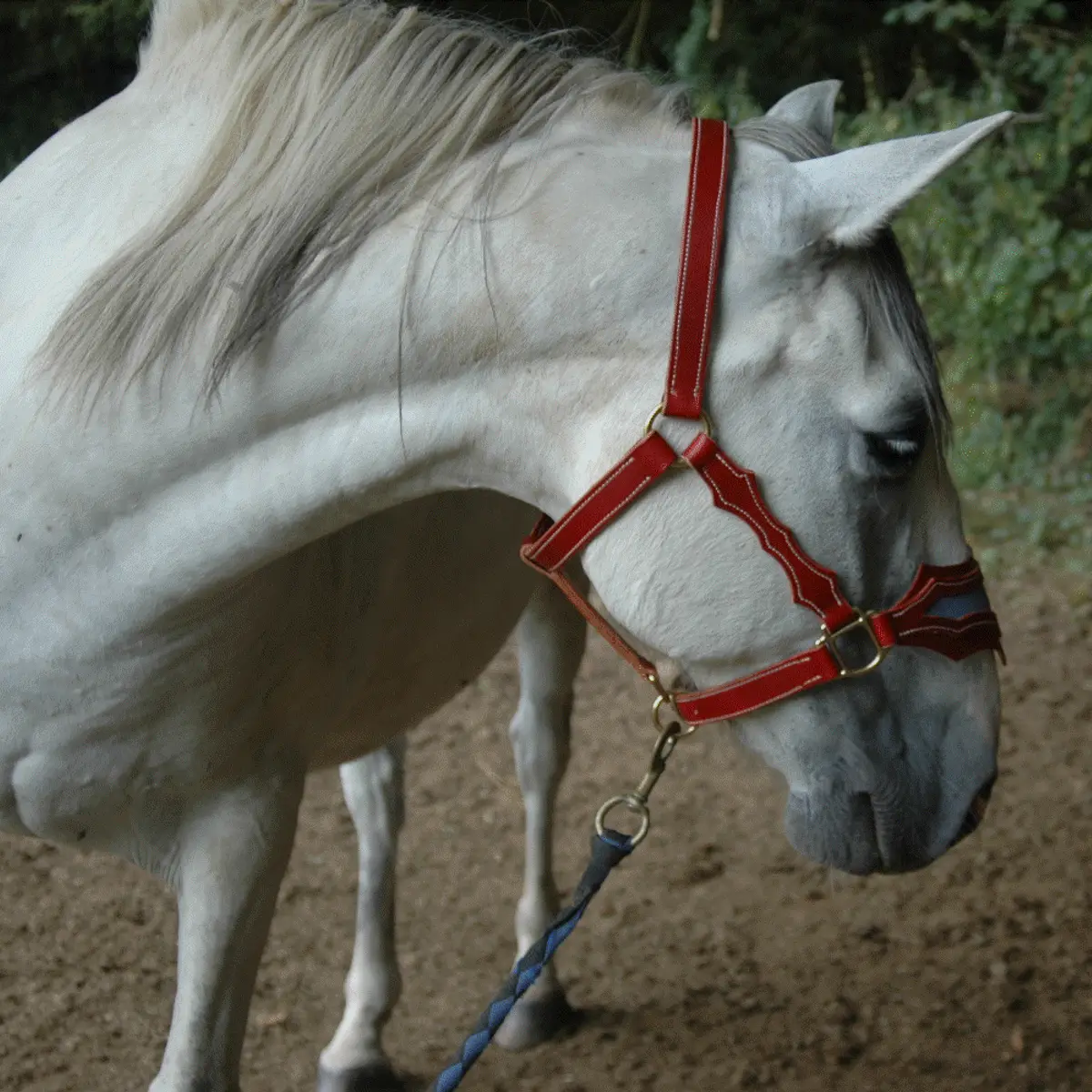 Spanish-style halter 2