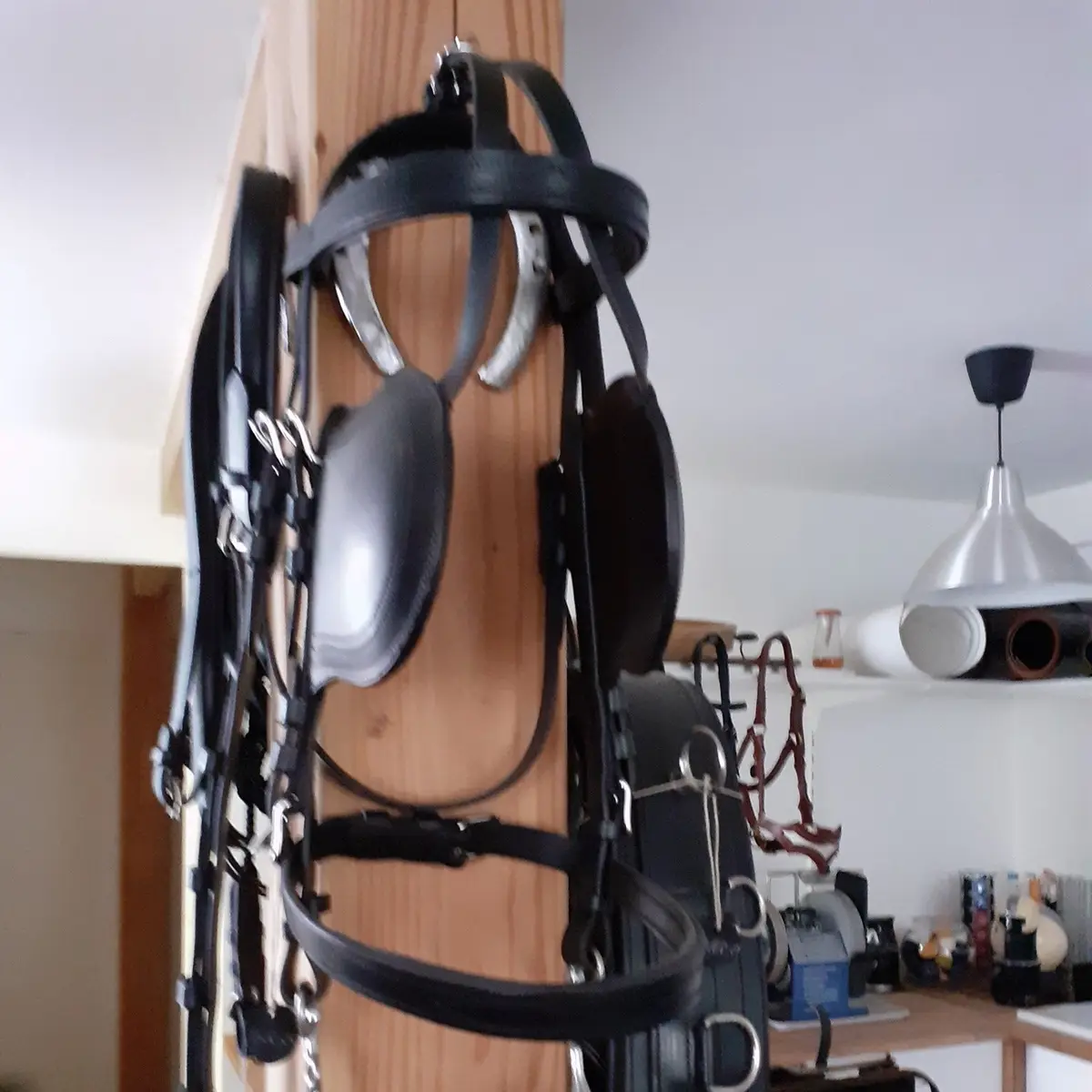 Driving bridle 2
