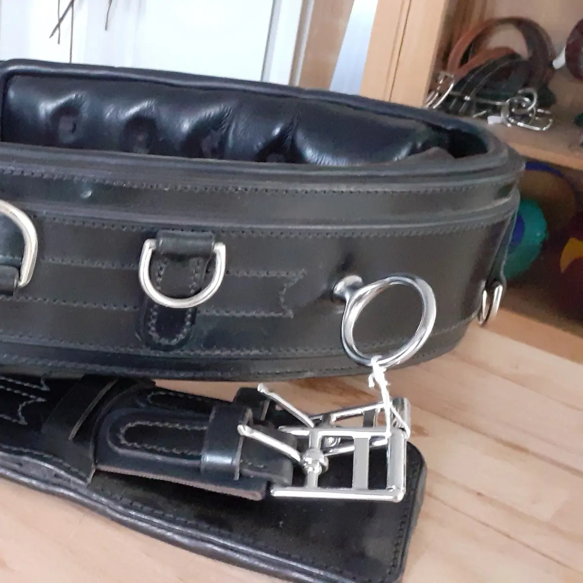 Dressage surcingle