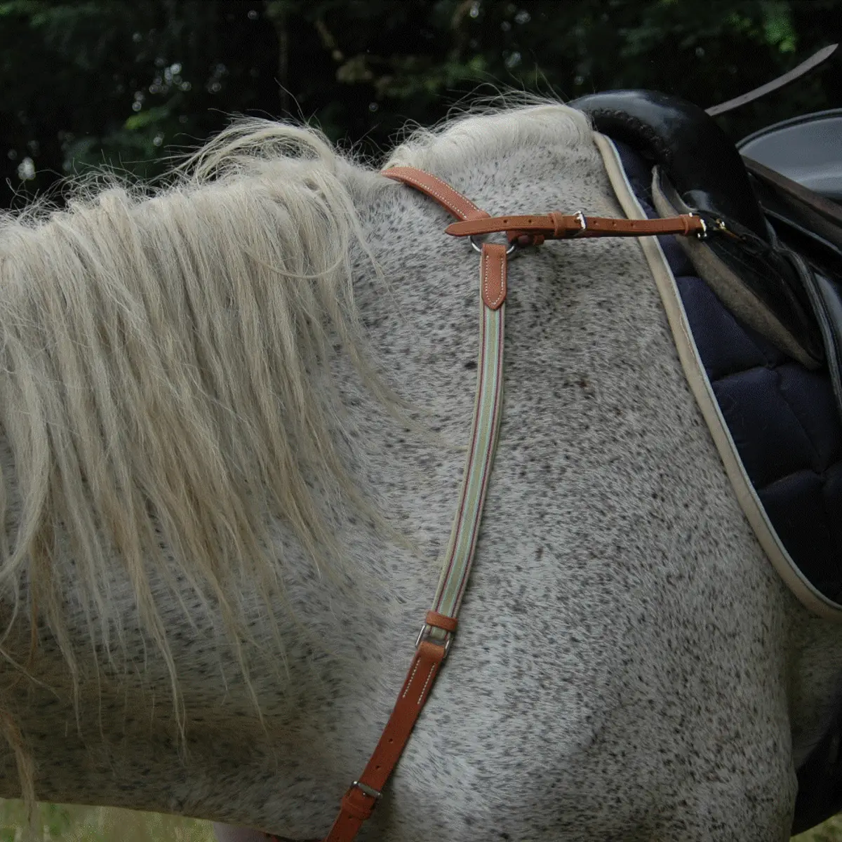 Hunting breastplate: Martingale and collar 5