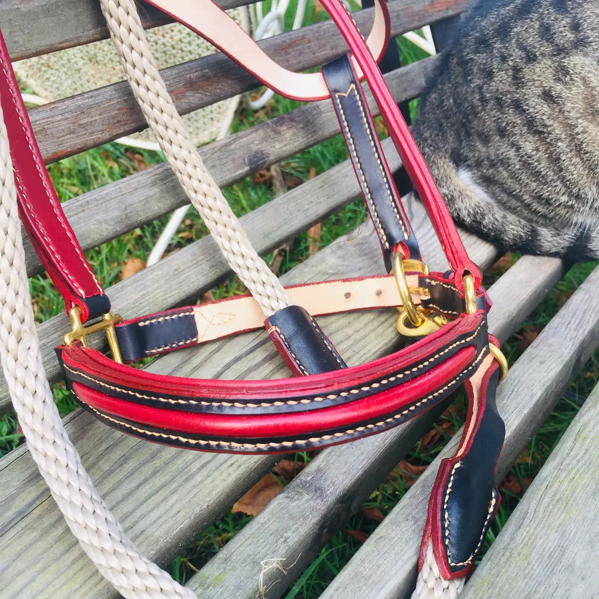 Elegance Black & Hermès Red halter 2
