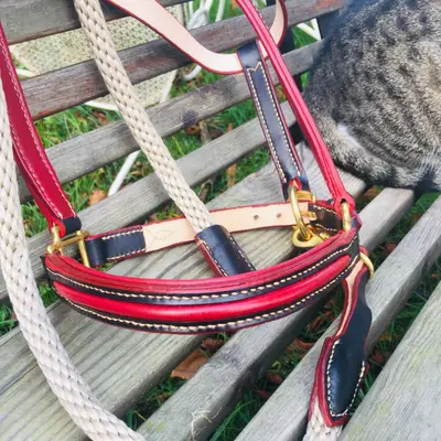 Elegance Black & Hermès Red halter 2