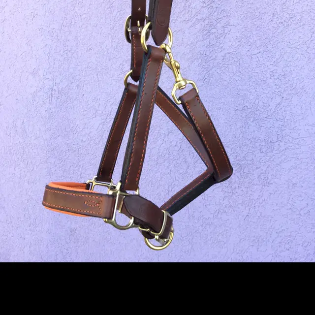 Havana leather halter
