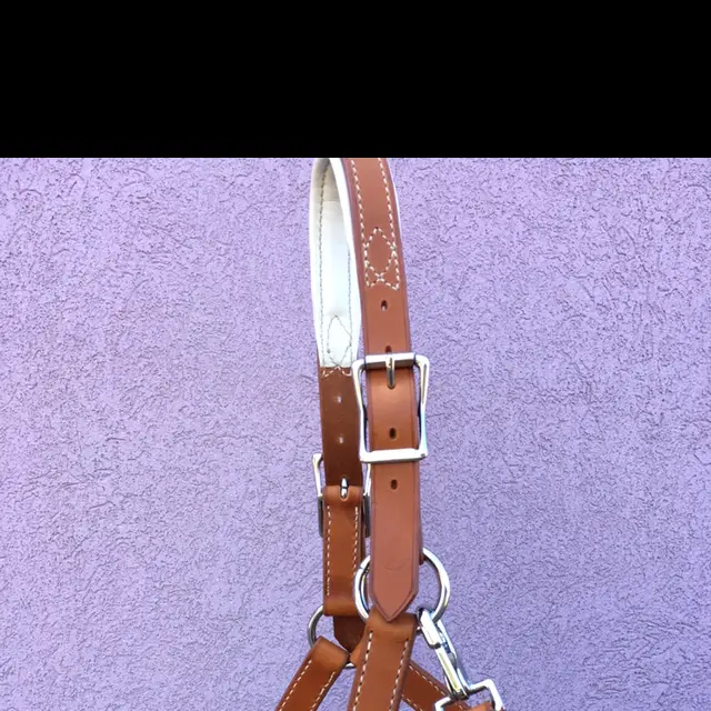 Tan leather halter