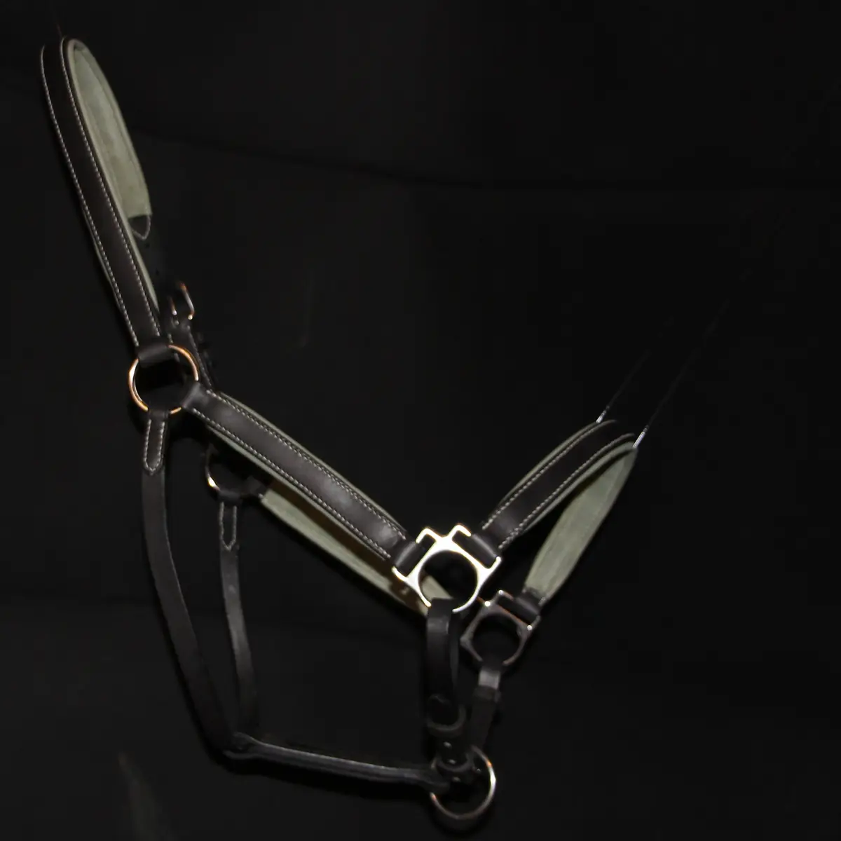 Classic leather halter with calfskin and foam lining 2
