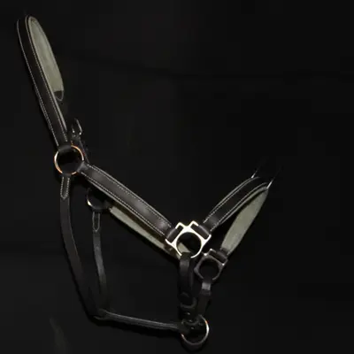 Classic leather halter with calfskin and foam lining 2