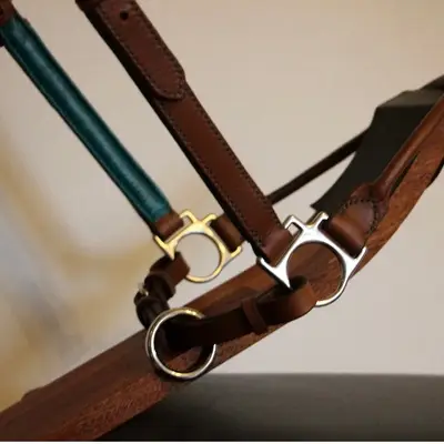 Grooming halter 1