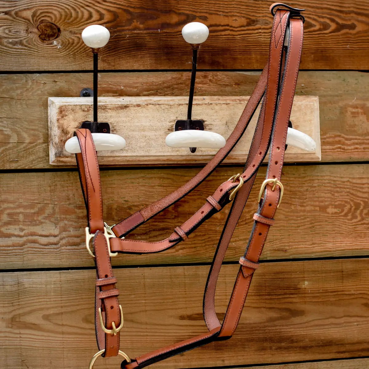 Trail riding halter bridle