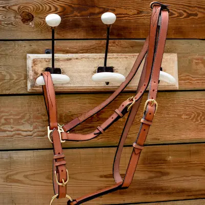 Trail riding halter bridle 1