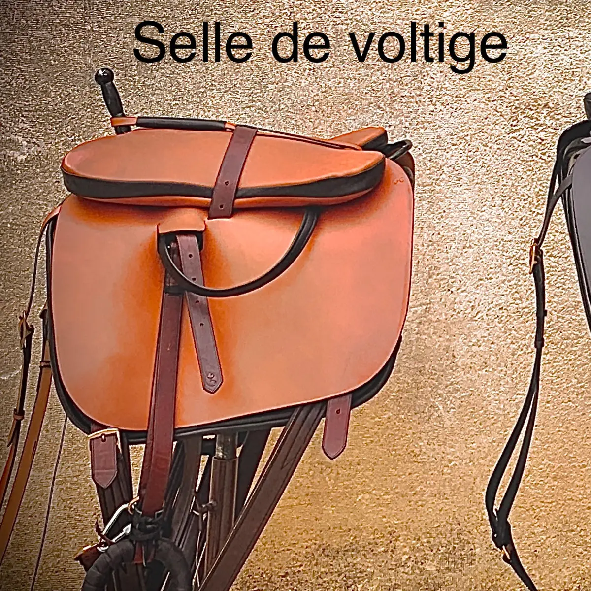 Vaulting saddle