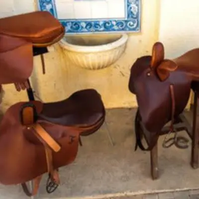 Side saddle