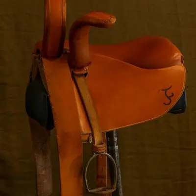 Side saddle surcingle