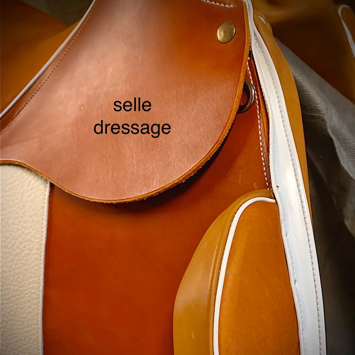 Dressage saddle 2