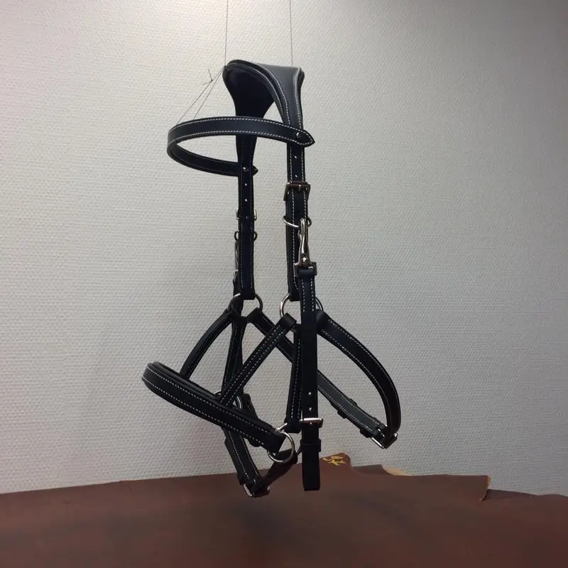 Bespoke anatomical sidepull