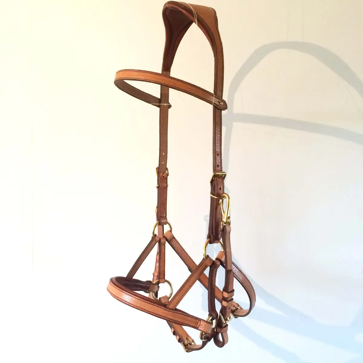 Bespoke anatomical sidepull 2
