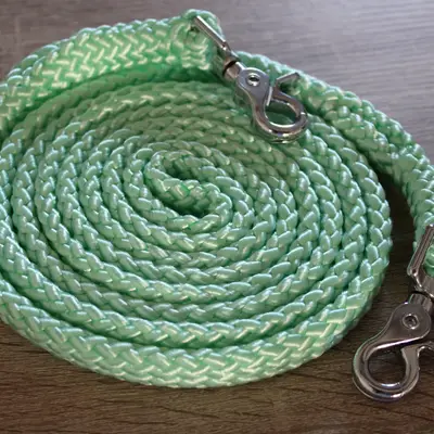 Natural horsemanship reins 11