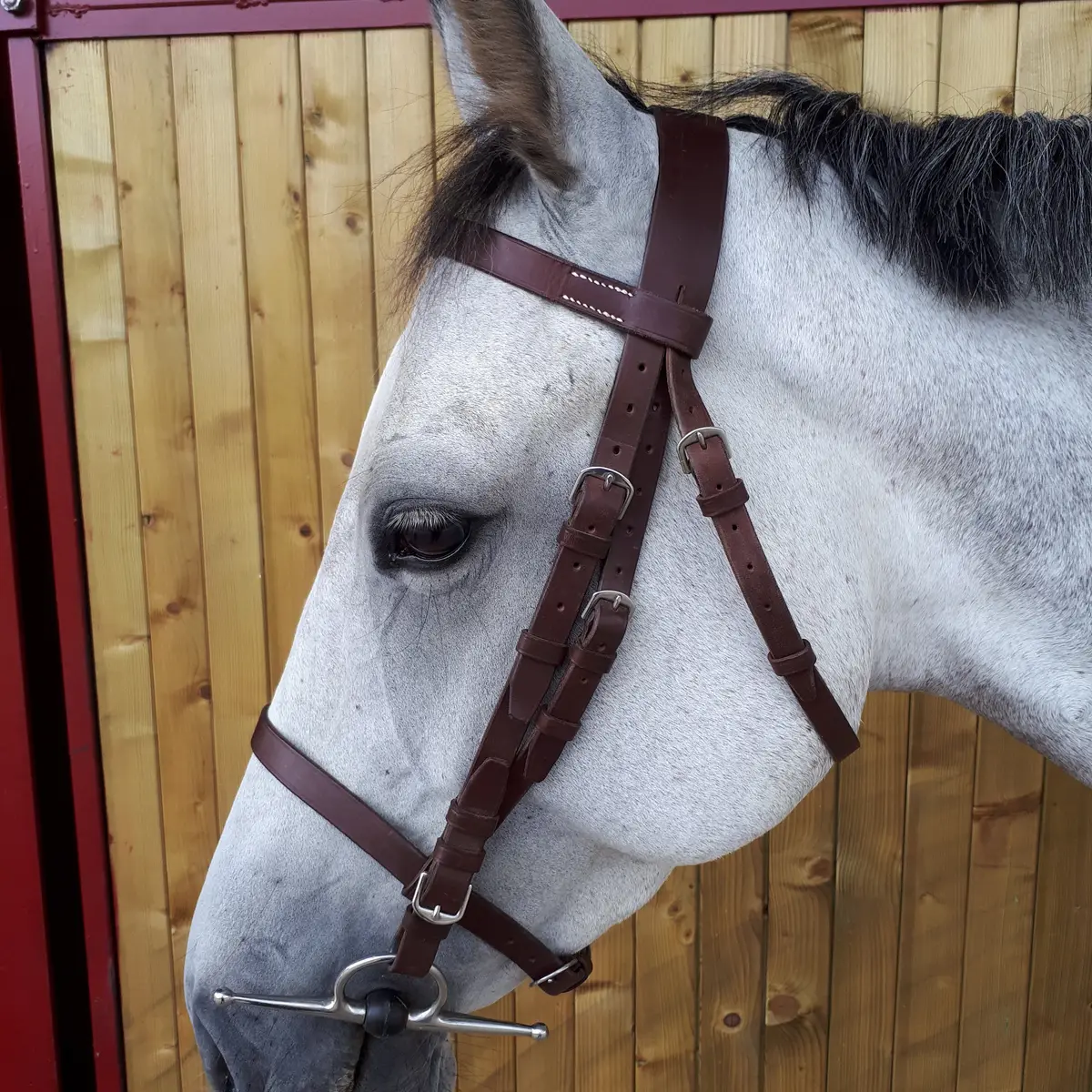Breaking bridle