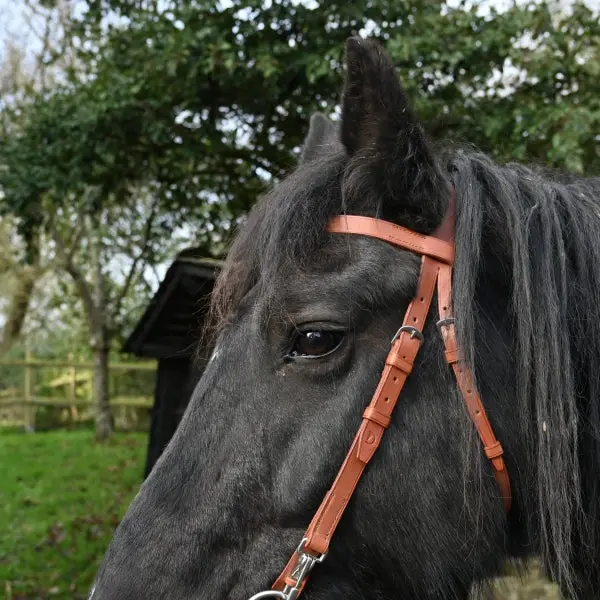 Trail riding bridle