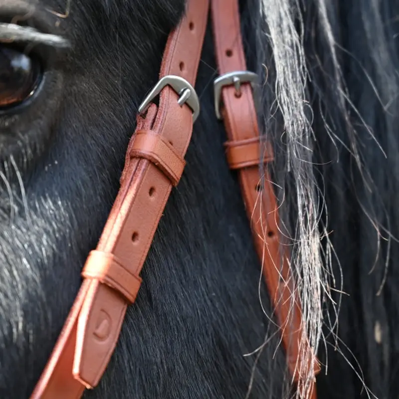 Trail riding bridle 2