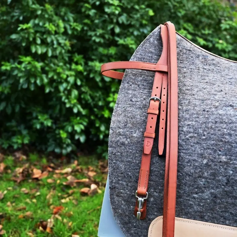 Trail riding bridle 3