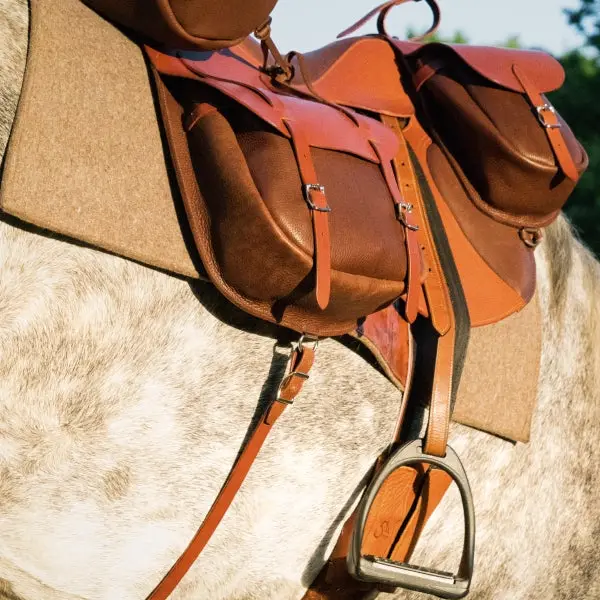Trail riding saddle bags