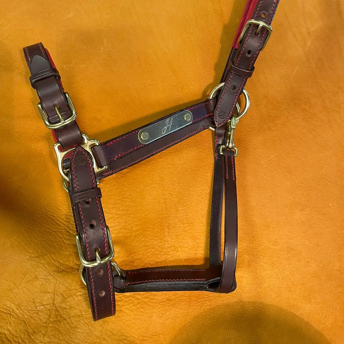 Lined stable halter