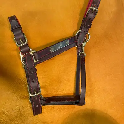 Lined stable halter 1