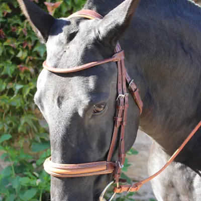 Round-stitched snaffle bridle 2
