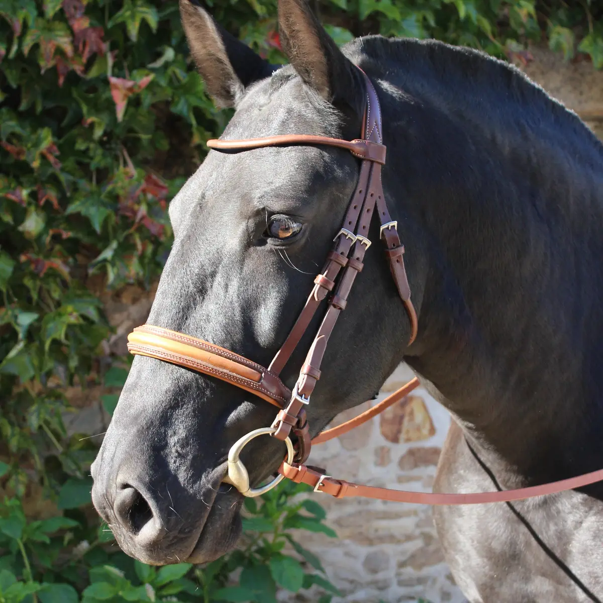 Round-stitched snaffle bridle