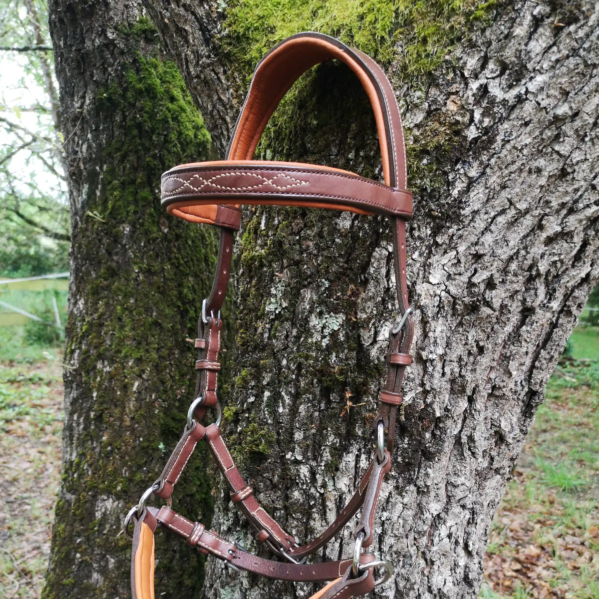 Comfortable luxury sidepull with throatlasch