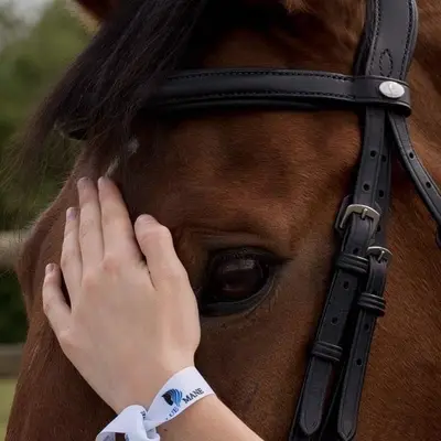 Extremely comfortable anatomical dressage bridle 8