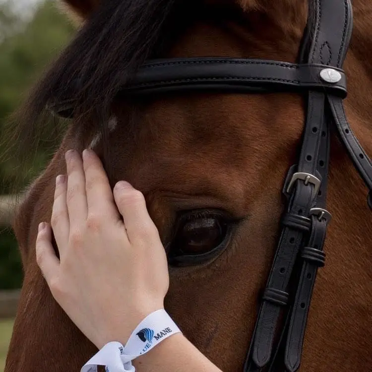 Extremely comfortable anatomical dressage bridle 8